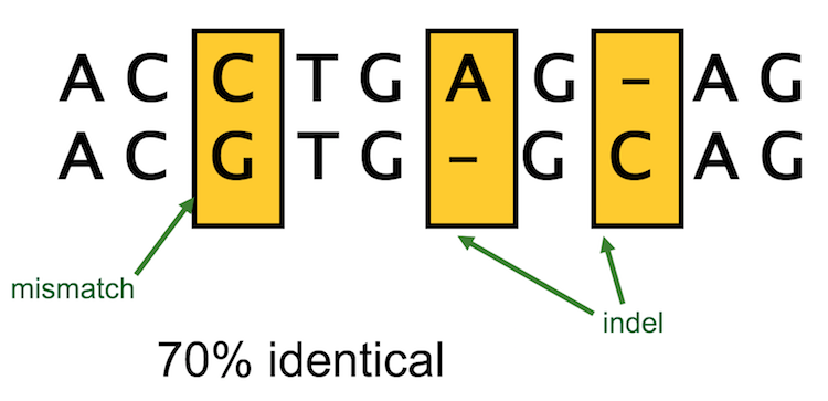 dnasequence